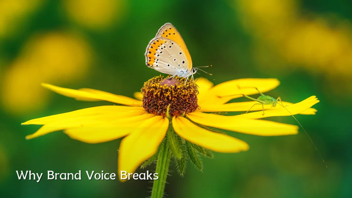 Why Brand Voice Breaks