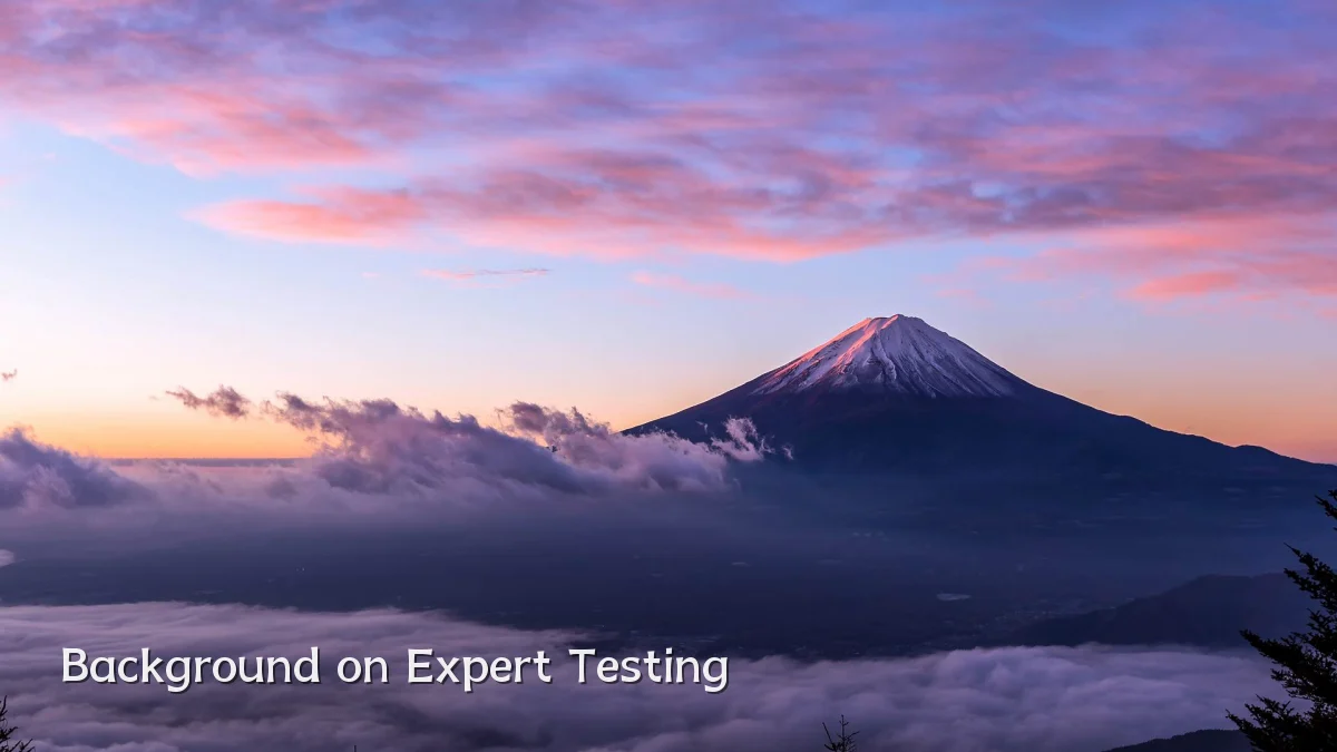 Background on Expert Testing