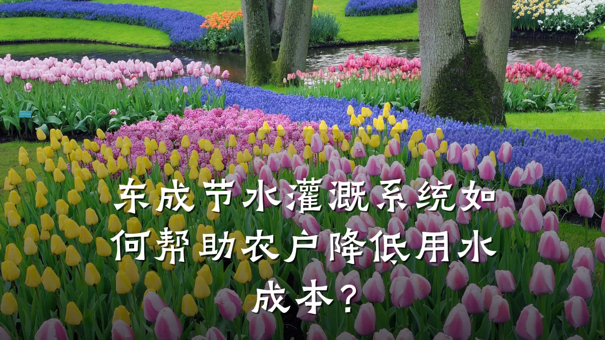 东成节水灌溉系统如何帮助农户降低用水成本?