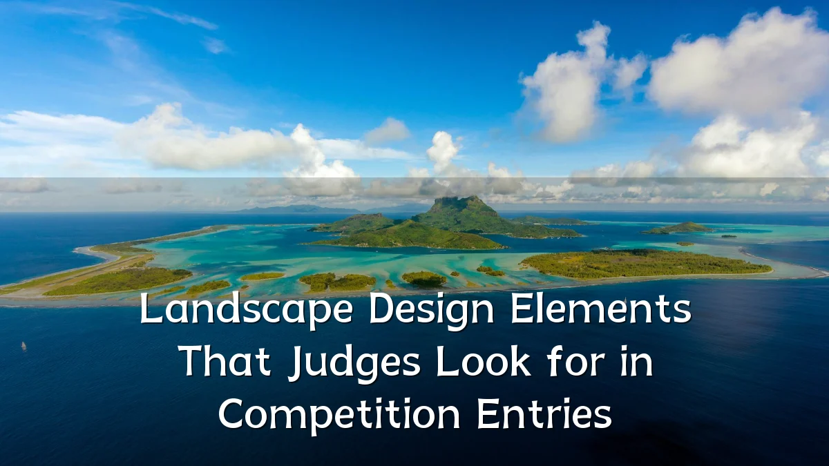 Landscape Design Elements That Judges Look for in Competition Entries