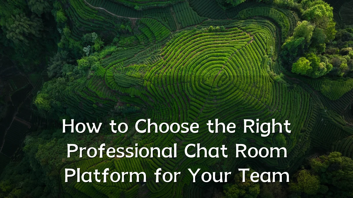 How to Choose the Right Professional Chat Room Platform for Your Team