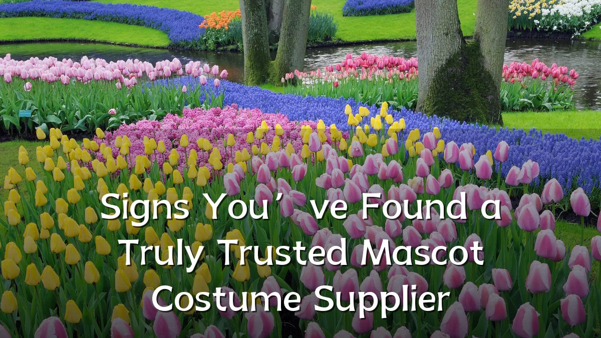 Signs You’ve Found a Truly Trusted Mascot Costume Supplier