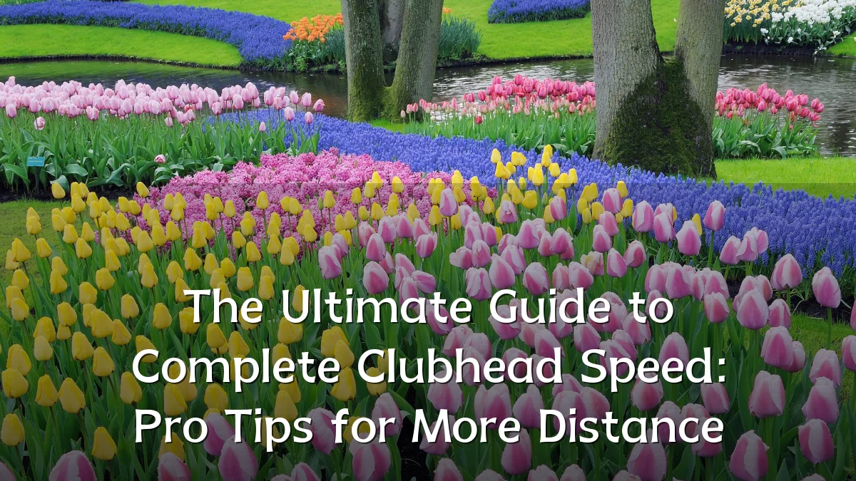 The Ultimate Guide to Complete Clubhead Speed: Pro Tips for More Distance