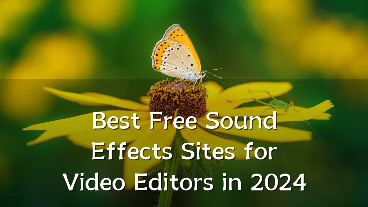Best Free Sound Effects Sites for Video Editors in 2024