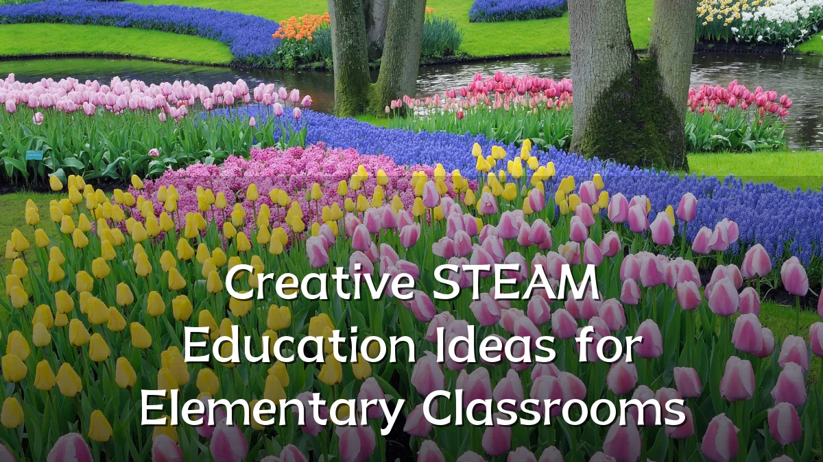 Creative STEAM Education Ideas for Elementary Classrooms