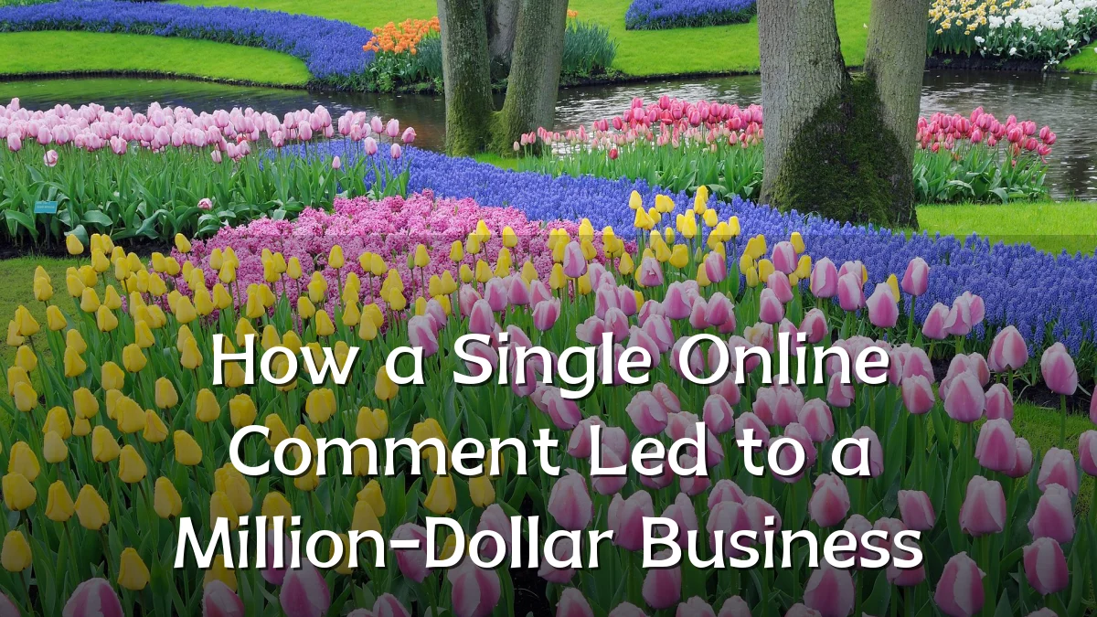 How a Single Online Comment Led to a Million-Dollar Business