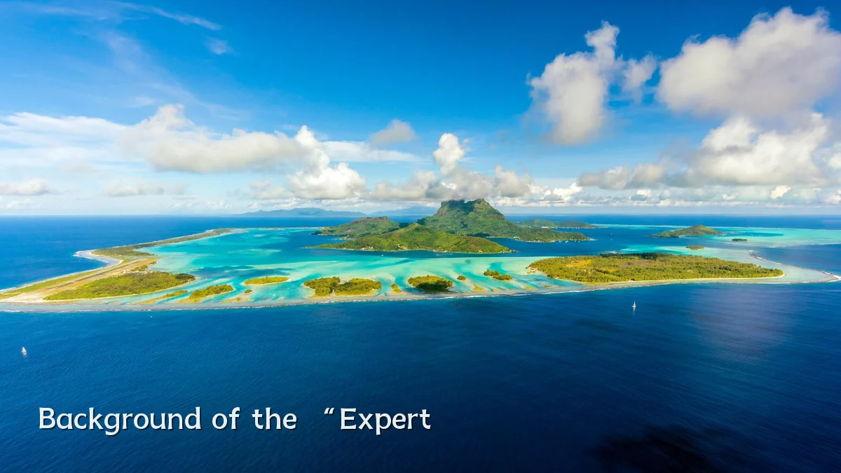 Background of the “Expert