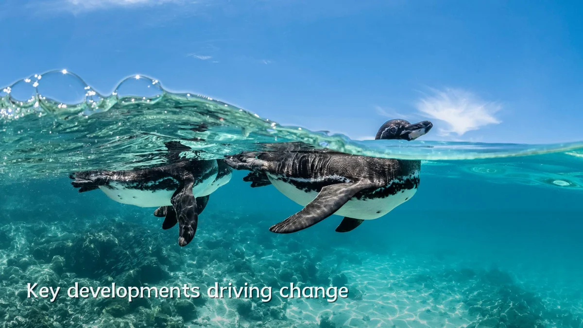 Key developments driving change