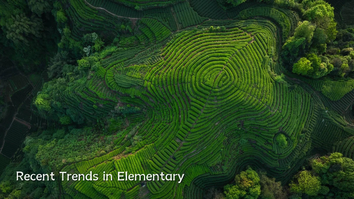 Recent Trends in Elementary