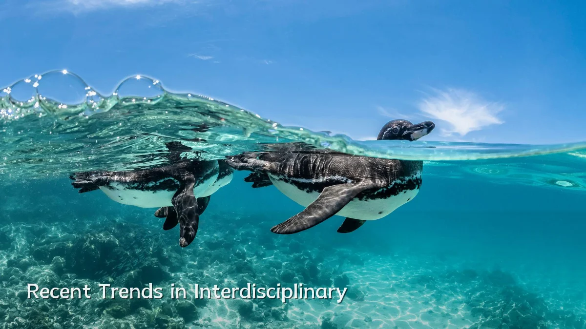 Recent Trends in Interdisciplinary