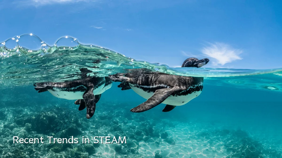 Recent Trends in STEAM