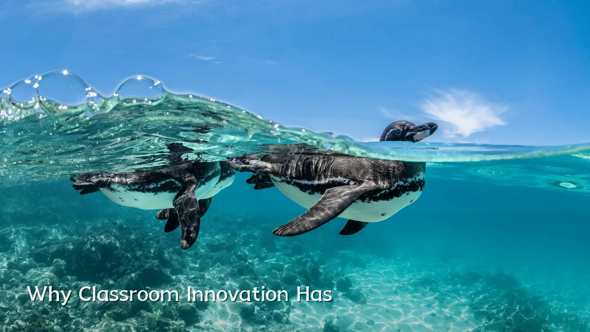 Why Classroom Innovation Has