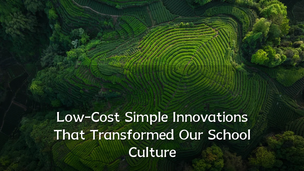 Low-Cost Simple Innovations That Transformed Our School Culture