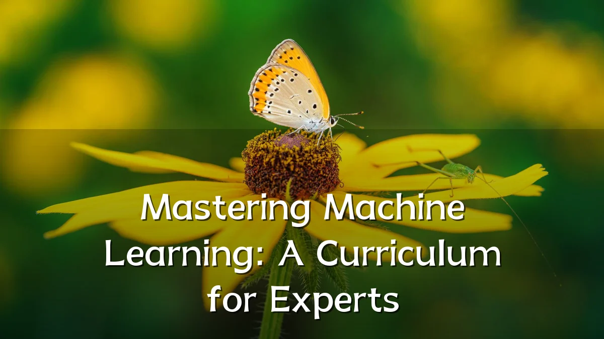 Mastering Machine Learning: A Curriculum for Experts