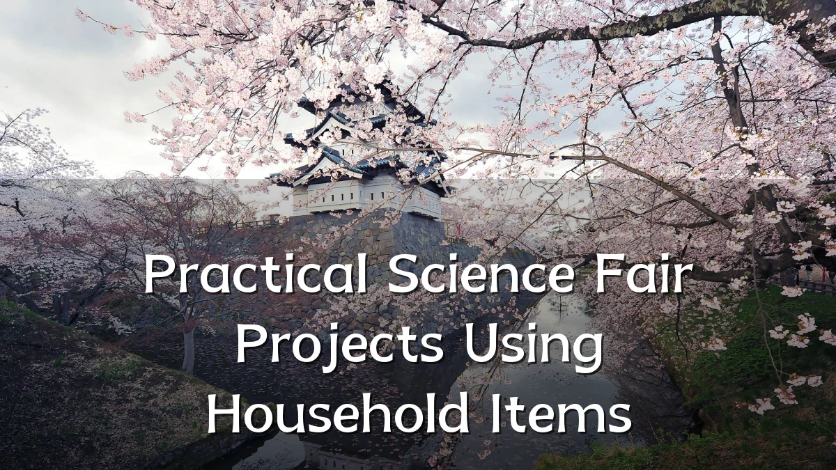 Practical Science Fair Projects Using Household Items