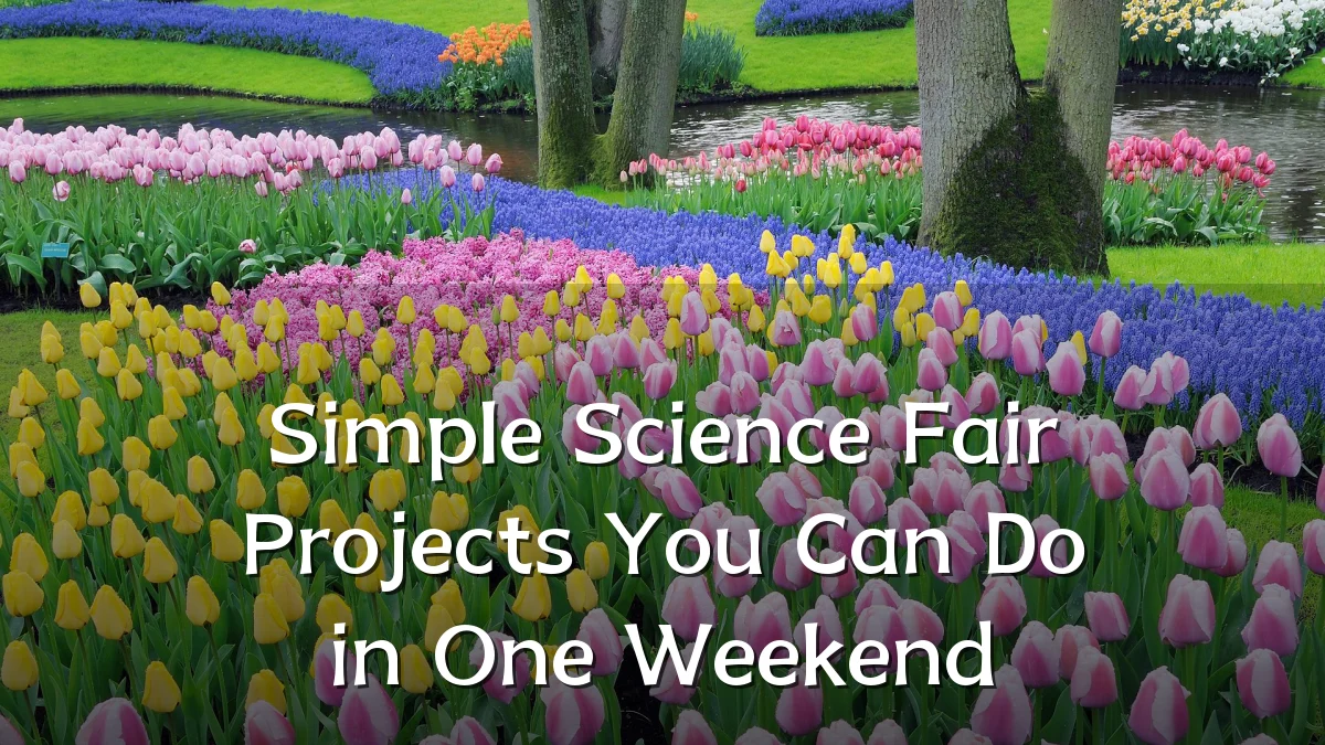 Simple Science Fair Projects You Can Do in One Weekend