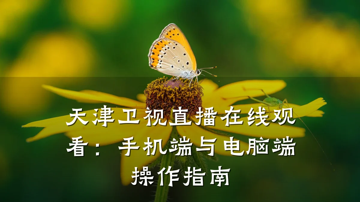 天津卫视直播在线观看:手机端与电脑端操作指南