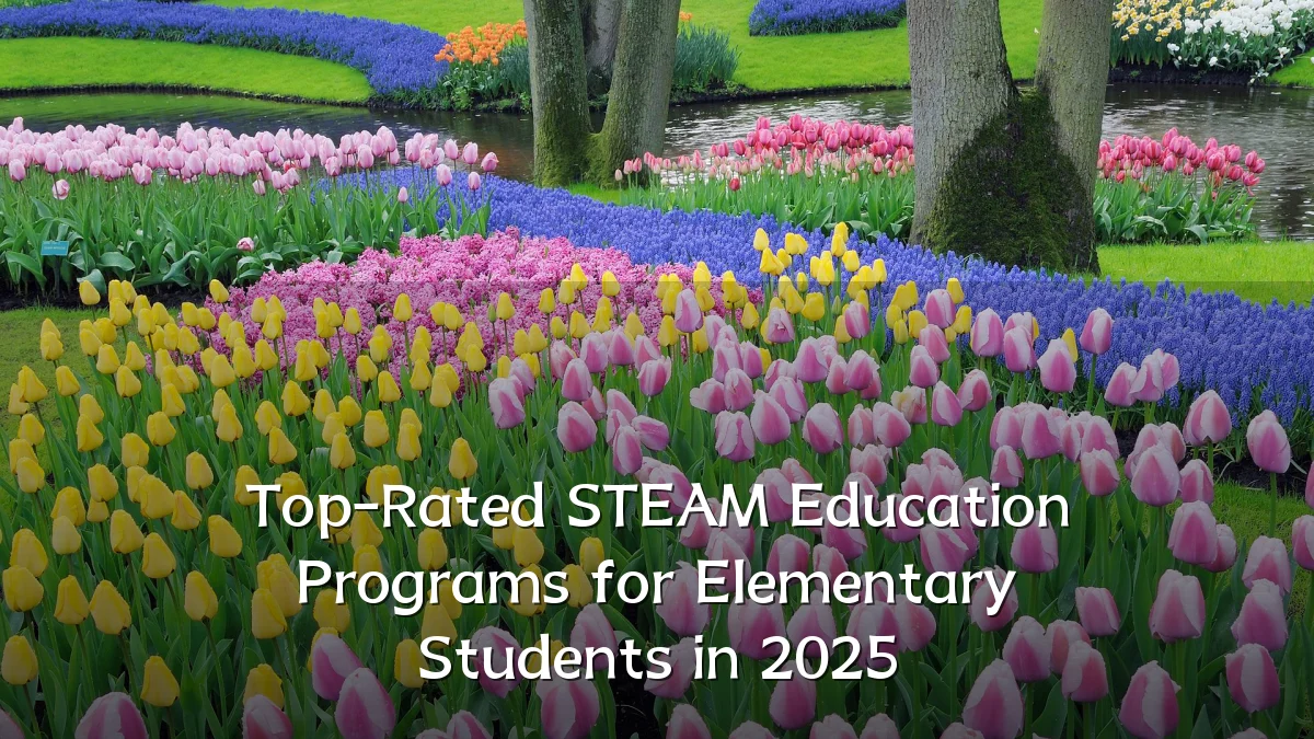 Top-Rated STEAM Education Programs for Elementary Students in 2025