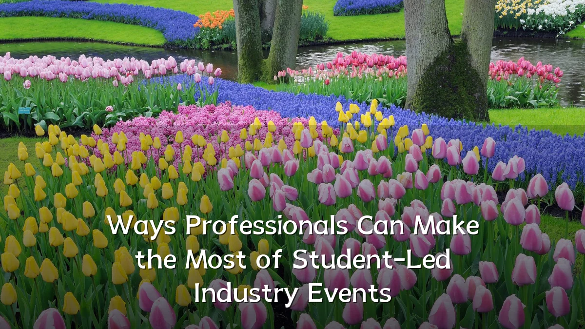 Ways Professionals Can Make the Most of Student-Led Industry Events