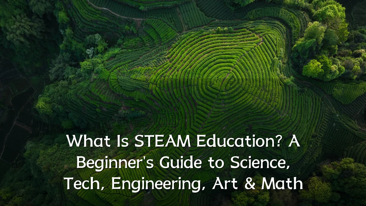 What Is STEAM Education? A Beginner's Guide to Science, Tech, Engineering, Art & Math