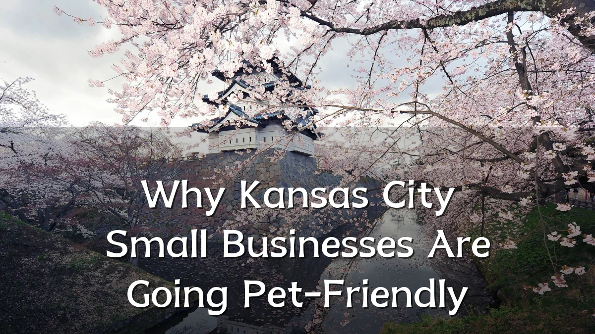Why Kansas City Small Businesses Are Going Pet-Friendly
