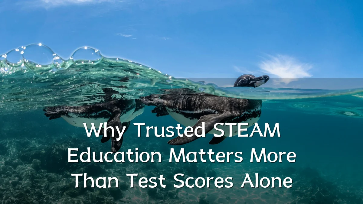 Why Trusted STEAM Education Matters More Than Test Scores Alone