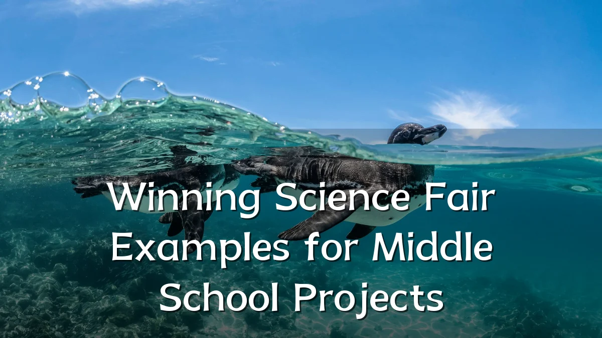 Winning Science Fair Examples for Middle School Projects