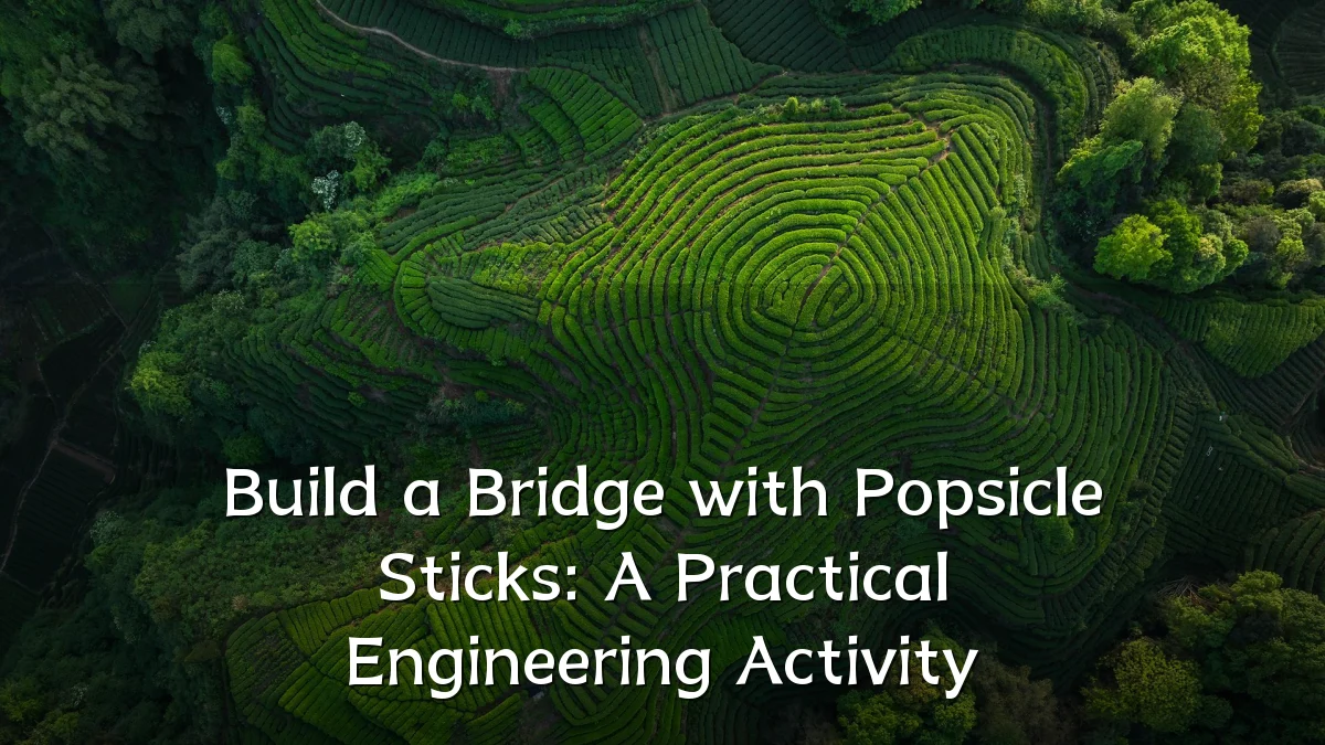 Build a Bridge with Popsicle Sticks: A Practical Engineering Activity
