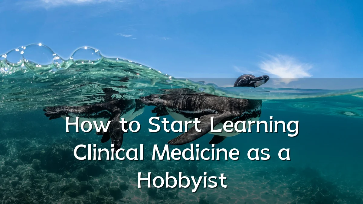 How to Start Learning Clinical Medicine as a Hobbyist