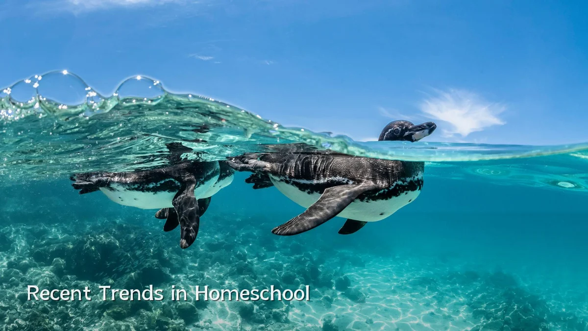 Recent Trends in Homeschool