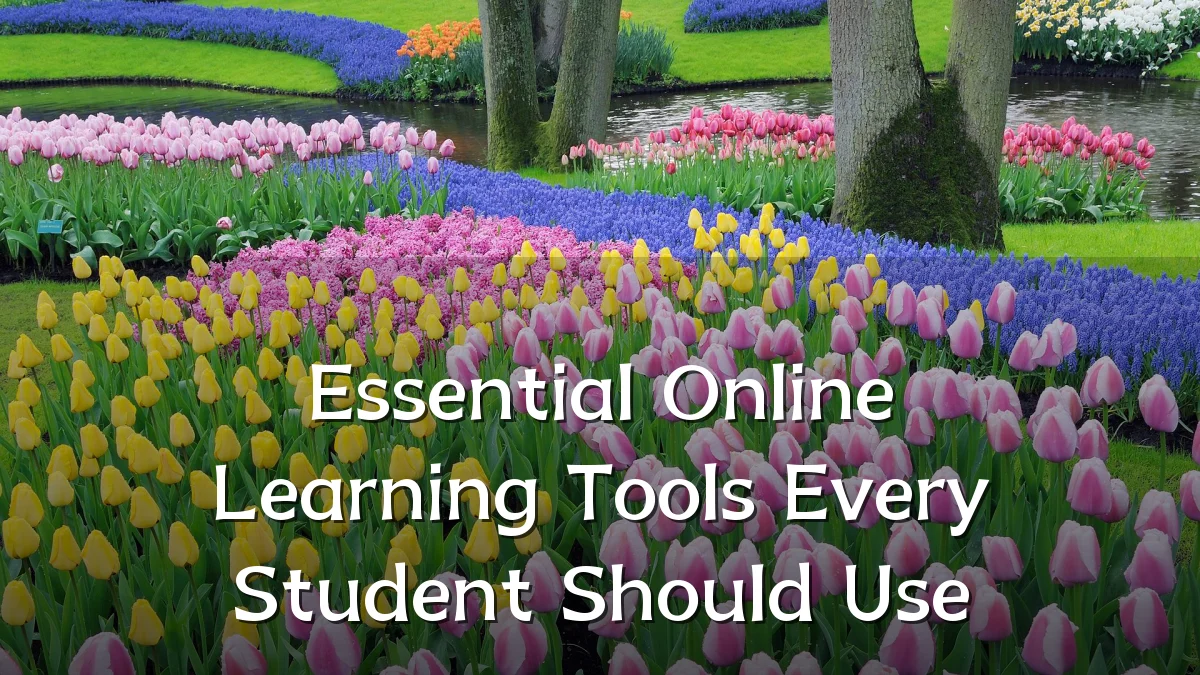Essential Online Learning Tools Every Student Should Use