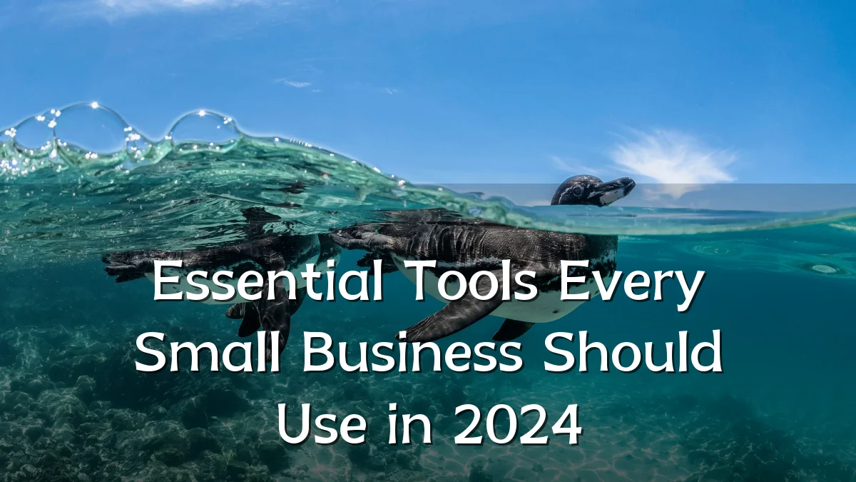 Essential Tools Every Small Business Should Use in 2024