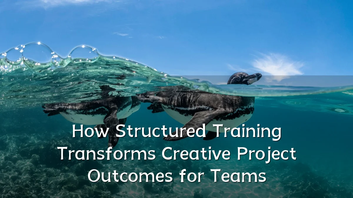 How Structured Training Transforms Creative Project Outcomes for Teams