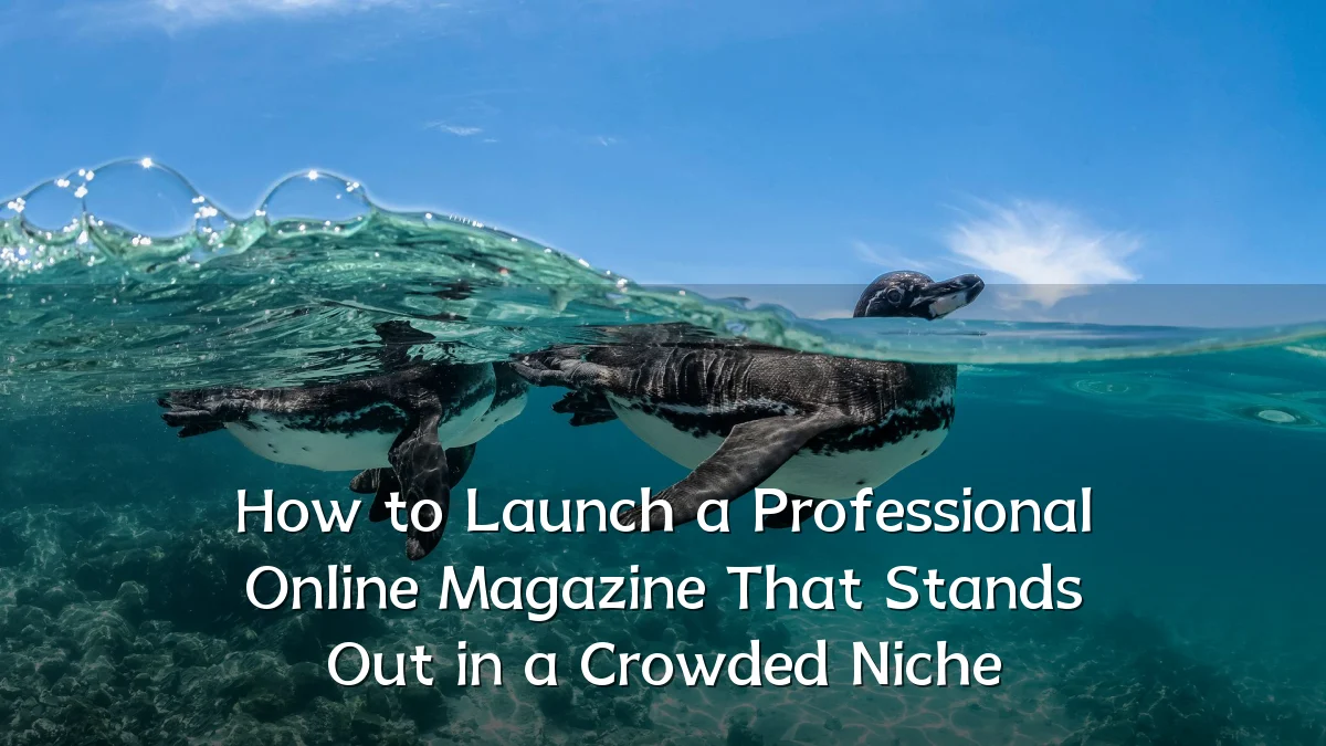 How to Launch a Professional Online Magazine That Stands Out in a Crowded Niche