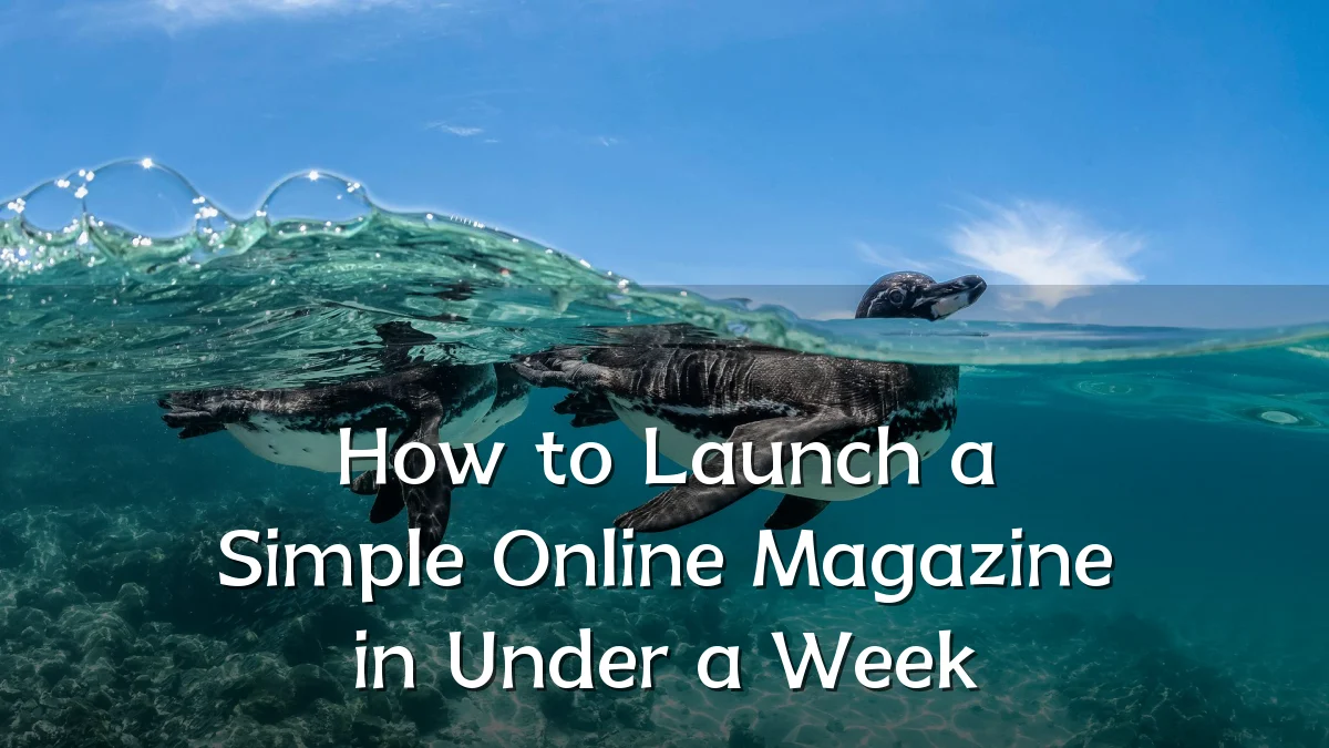 How to Launch a Simple Online Magazine in Under a Week