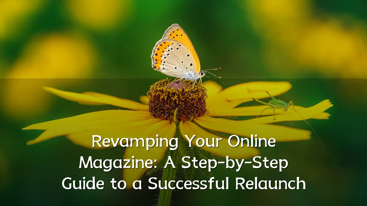 Revamping Your Online Magazine: A Step-by-Step Guide to a Successful Relaunch