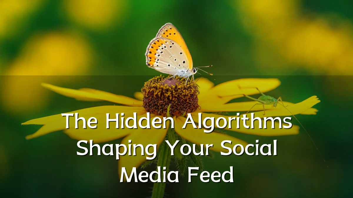 The Hidden Algorithms Shaping Your Social Media Feed