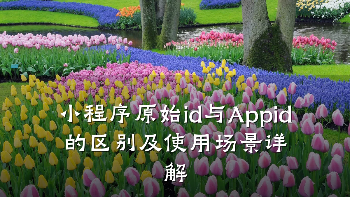 小程序原始id与Appid的区别及使用场景详解