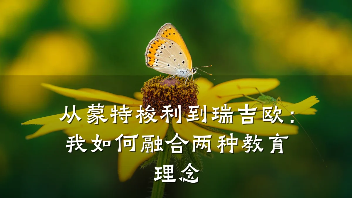 从蒙特梭利到瑞吉欧：我如何融合两种教育理念