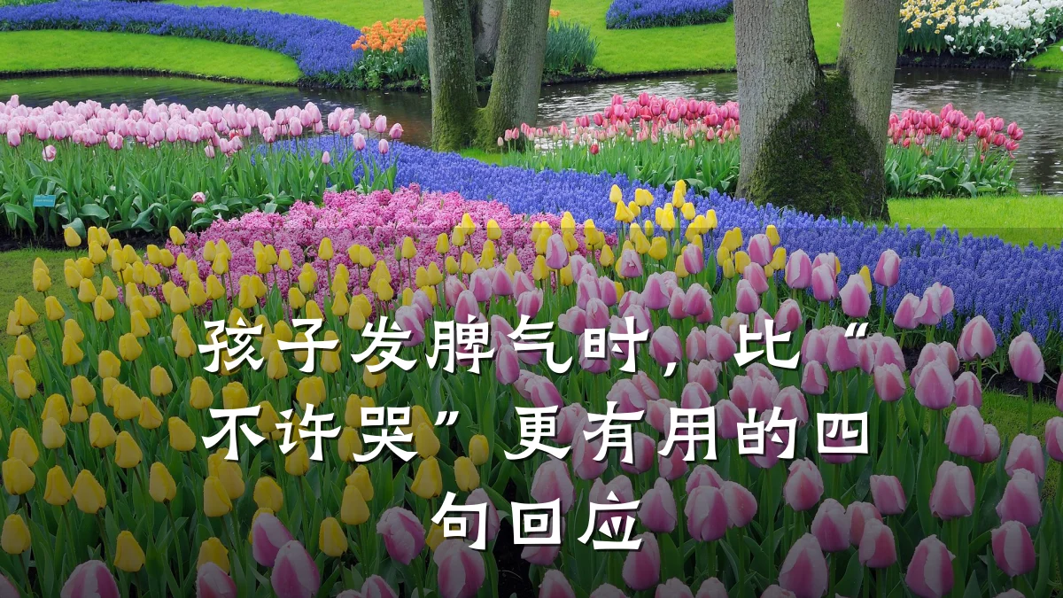 孩子发脾气时,比“不许哭”更有用的四句回应