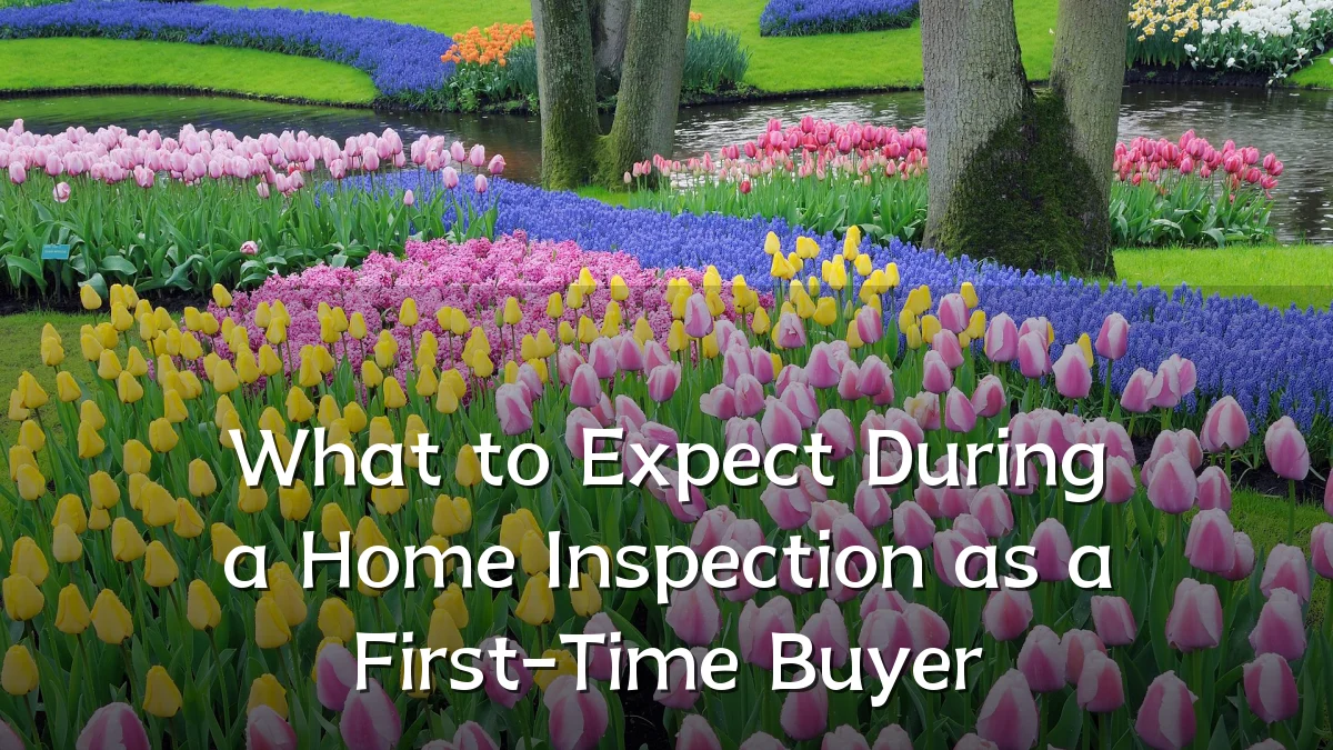 What to Expect During a Home Inspection as a First-Time Buyer